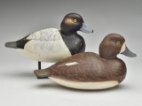 Pair of bluebills, Delbert 