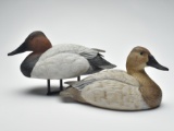 Pair of canvasbacks, Jim Foote, Gibralter, Michigan.