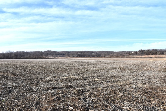 Hoenig Family Farm