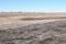 Tract 1- 113.23 Taxable Acres