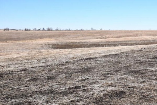Tract 1- 113.23 Taxable Acres