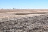 Tract 1- 113.23 Taxable Acres