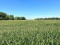 Tract 1 - 110.95 Surveyed Acres