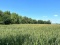 Tract 2 - 32.02 Surveyed Acres