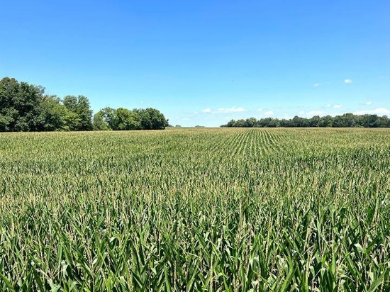 Tract 1 - 110.95 Surveyed Acres