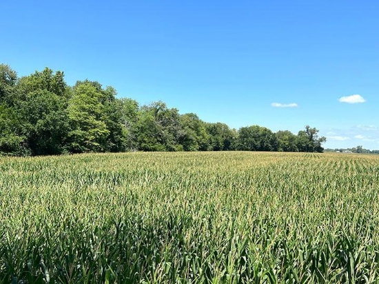 Tract 2 - 32.02 Surveyed Acres