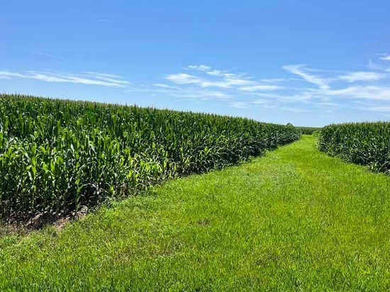 This lot is informational and may be used for test bidding - place your actual bids below.