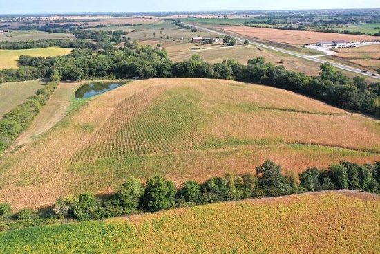 Tract 2 - 27.70 Surveyed Acres