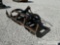 Dirt dog grapple bucket