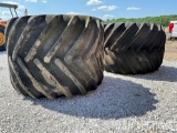 66x43-25 Floater tires and Rims