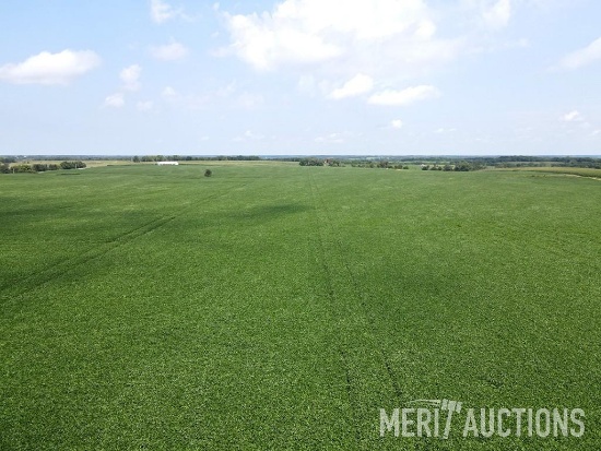 Tract 2: 143.06 Surveyed Acres