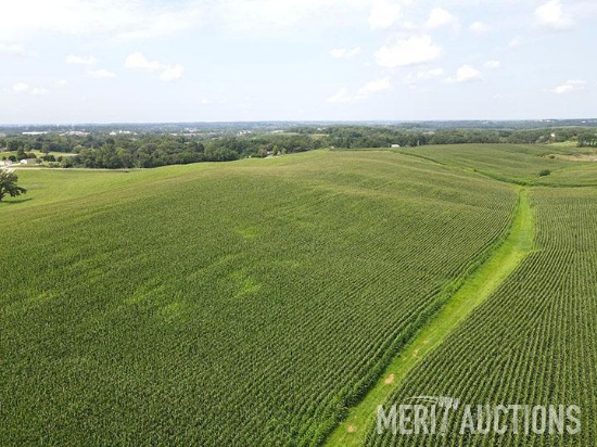 Tract 2: 53.39 Surveyed Acres