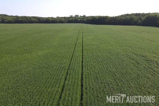 TRACT 1: 74.66 TAXABLE ACRES
