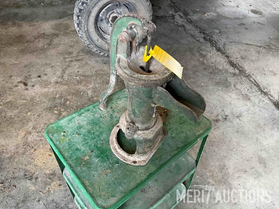 Pitcher pump