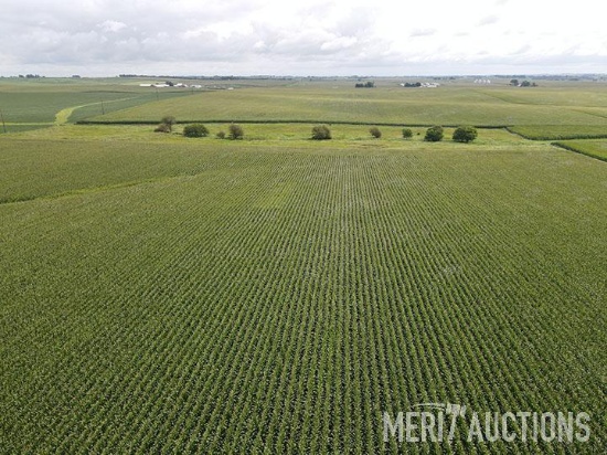 TRACT 1: 78.97 SURVEYED ACRES