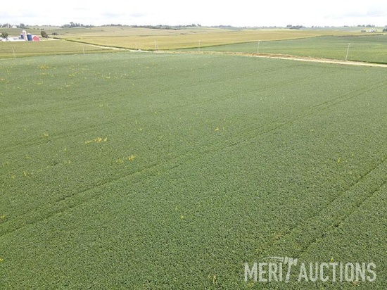 TRACT 2: 30.06 SURVEYED ACRES