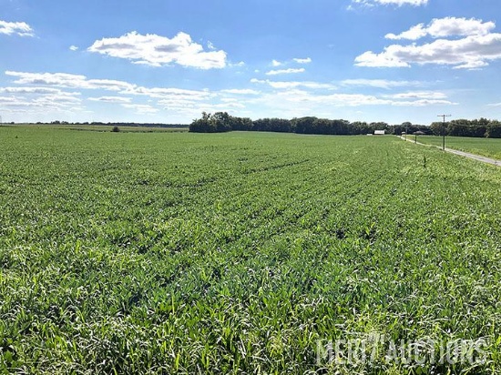 Tract 2 : 29.12 Preliminary Surveyed acres