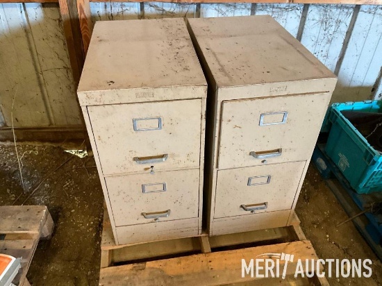 (2) 2 drawer file cabinets and contents