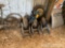 (4) Kinze drive wheel assemblies