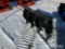 Skid Steer Drag Ripper Attachment