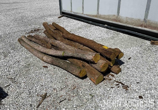 (10) Corner Hedge Posts