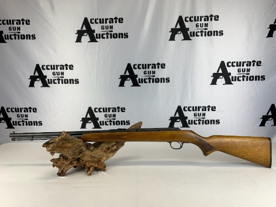 Savage Arms 887 .22 LR