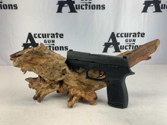 Sig Sauer P320 9MM
