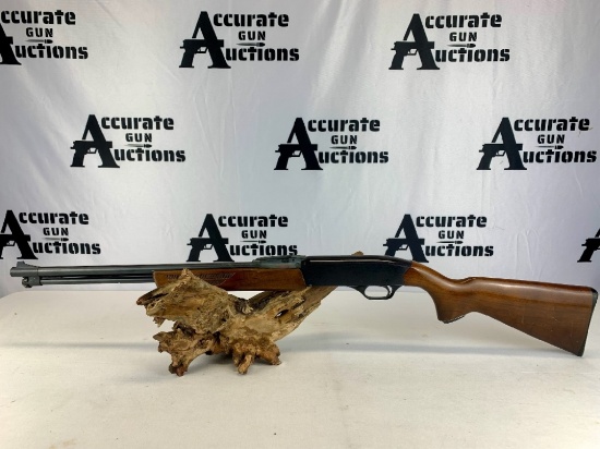 Winchester 270 22 S,L,LR