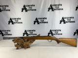 Savage Arms 887 .22 LR