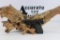 Jennings J-22 .22 LR