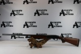 S&W 3000 20 GA