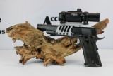 Para-Ordnance 1911 .45 ACP