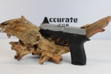 Sig Sauer P250 9mm