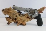 Taurus Tracker 17 .17 H.M.R