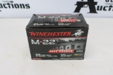Winchester 22 LR