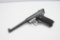 Ruger Automatic Pistol .22 LR