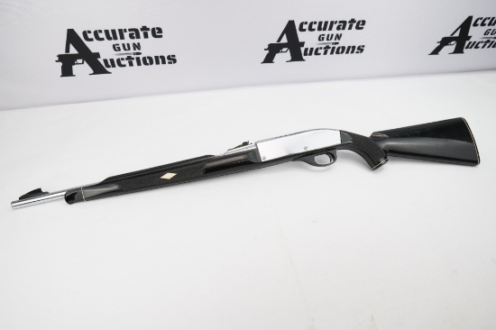 Remington Nylon 66 .22 LR