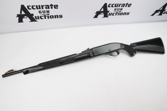 Remington Nylon 66 .22 LR