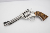 Ruger Single-Ten .22 cal