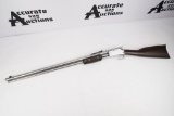 Taurus C45 .45 Colt