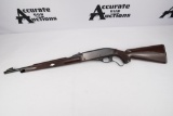 Remington Nylon 76 22 LR