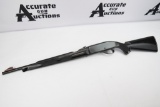 Remington Nylon 66 .22 LR