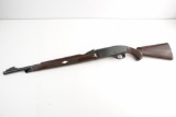 Remington Nylon 66 .22 LR