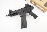 Smith & Wesson MP-15-22P .22 LR