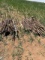 2 PALLETS OF ELECTRIC FENCE POSTS
