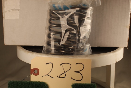Lot of 3 Pentair 154582 Oval Shape Spring