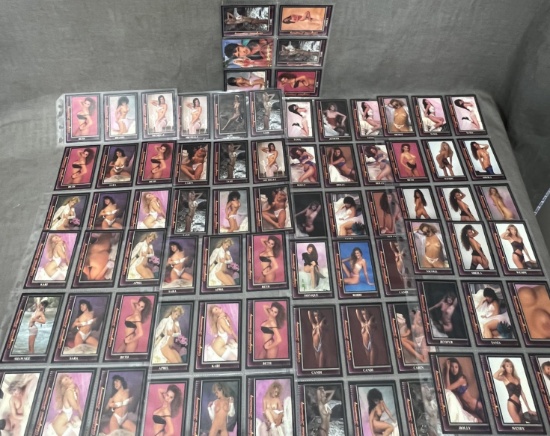 Vintage erotic nude adult trading card collection pleasures Inc.