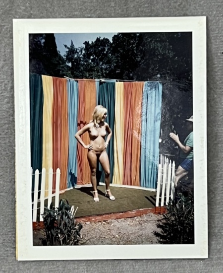 Vintage Pin Up Nude Female Model Polaroid Photo Photograph