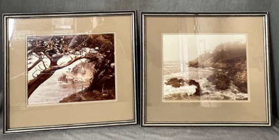 Set of two scenic framed photographs with gallery stickers on the back 20" x 17 1/2" including frame