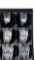 Nikki Sixx of Motley Crue Right Knee X-Ray